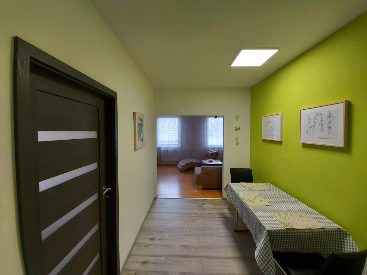 Apartman Eva - Plne Vybaveny Byt - Týn nad Vltavou Eksteriør billede